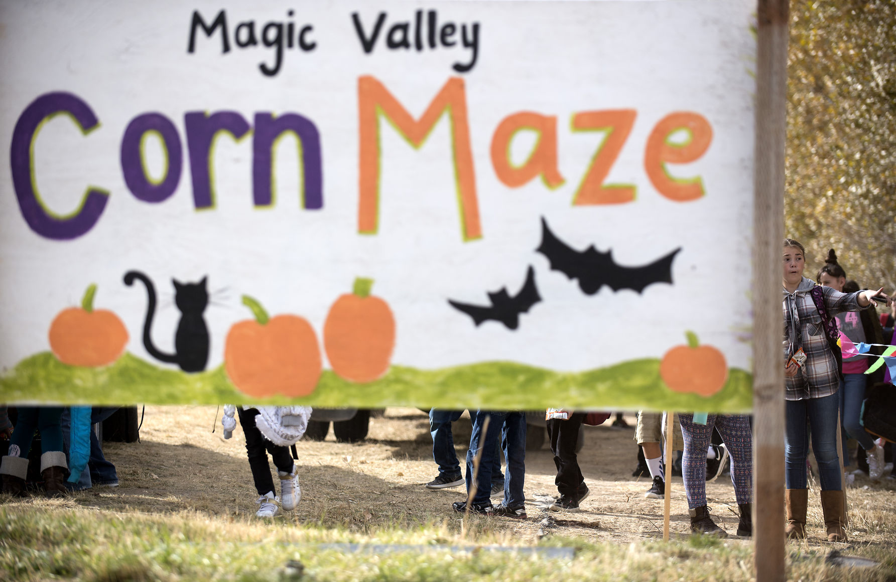 Magic Valley Corn Maze